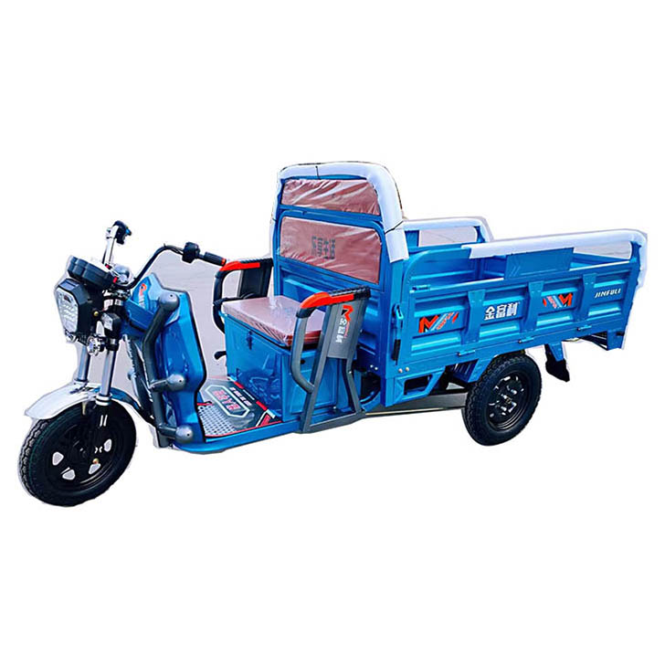 Electric Tricycle for Cargo 