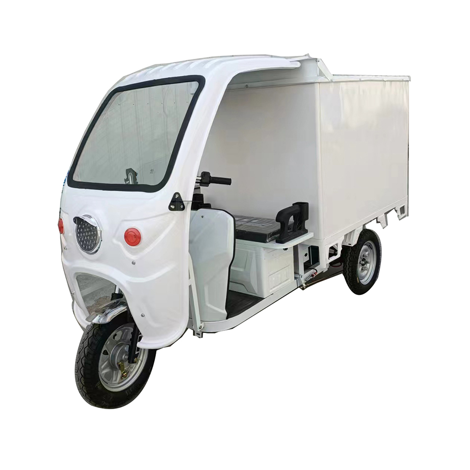 Electric Tricycle for Courier 1000W
