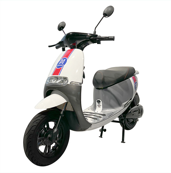 Electric Scooter GOGO 1000W