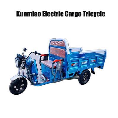 Electric Tricycle for Cargo 