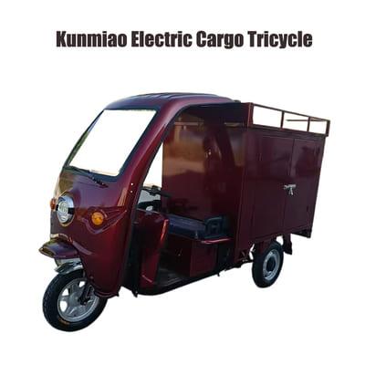 Electric Tricycle for Courier 1000W