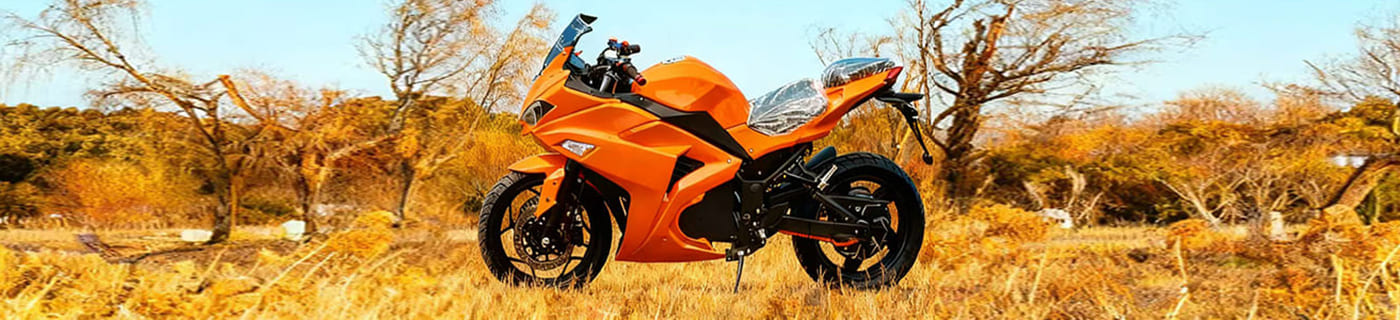 Electric Off-Road  Motorcycle 
