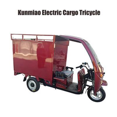 500KG Load 1500W Courier Electric Tricycle Test & Review
